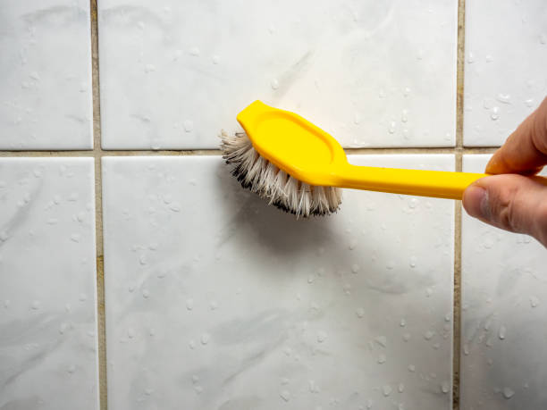 Best Preventive Mold Services in La Grange, NC