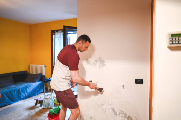 Best Basement Mold Remediation in La Grange, NC